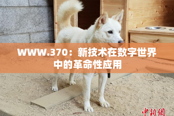 WWW.370：新技术在数字世界中的革命性应用