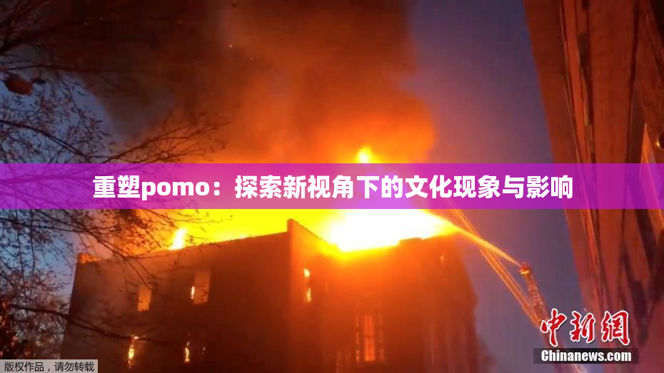 重塑pomo：探索新视角下的文化现象与影响