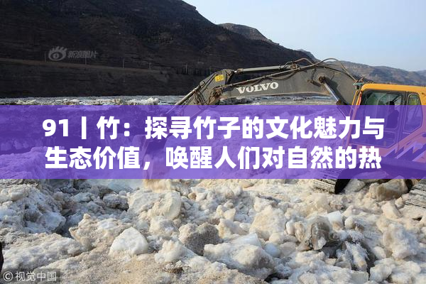 91丨竹：探寻竹子的文化魅力与生态价值，唤醒人们对自然的热爱