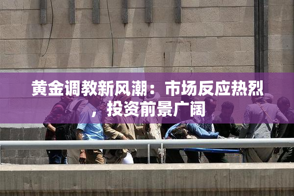 黄金调教新风潮：市场反应热烈，投资前景广阔