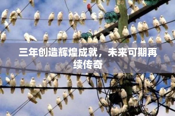 三年创造辉煌成就，未来可期再续传奇