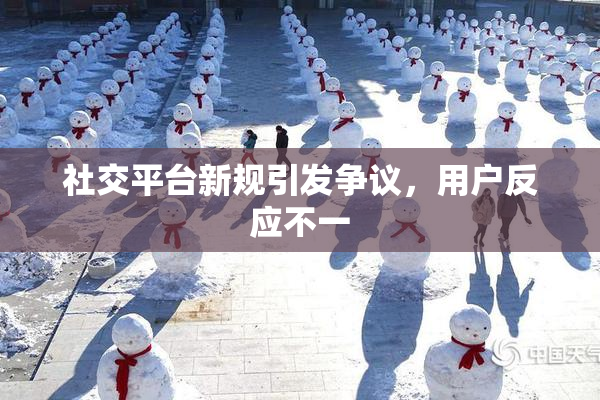 社交平台新规引发争议，用户反应不一