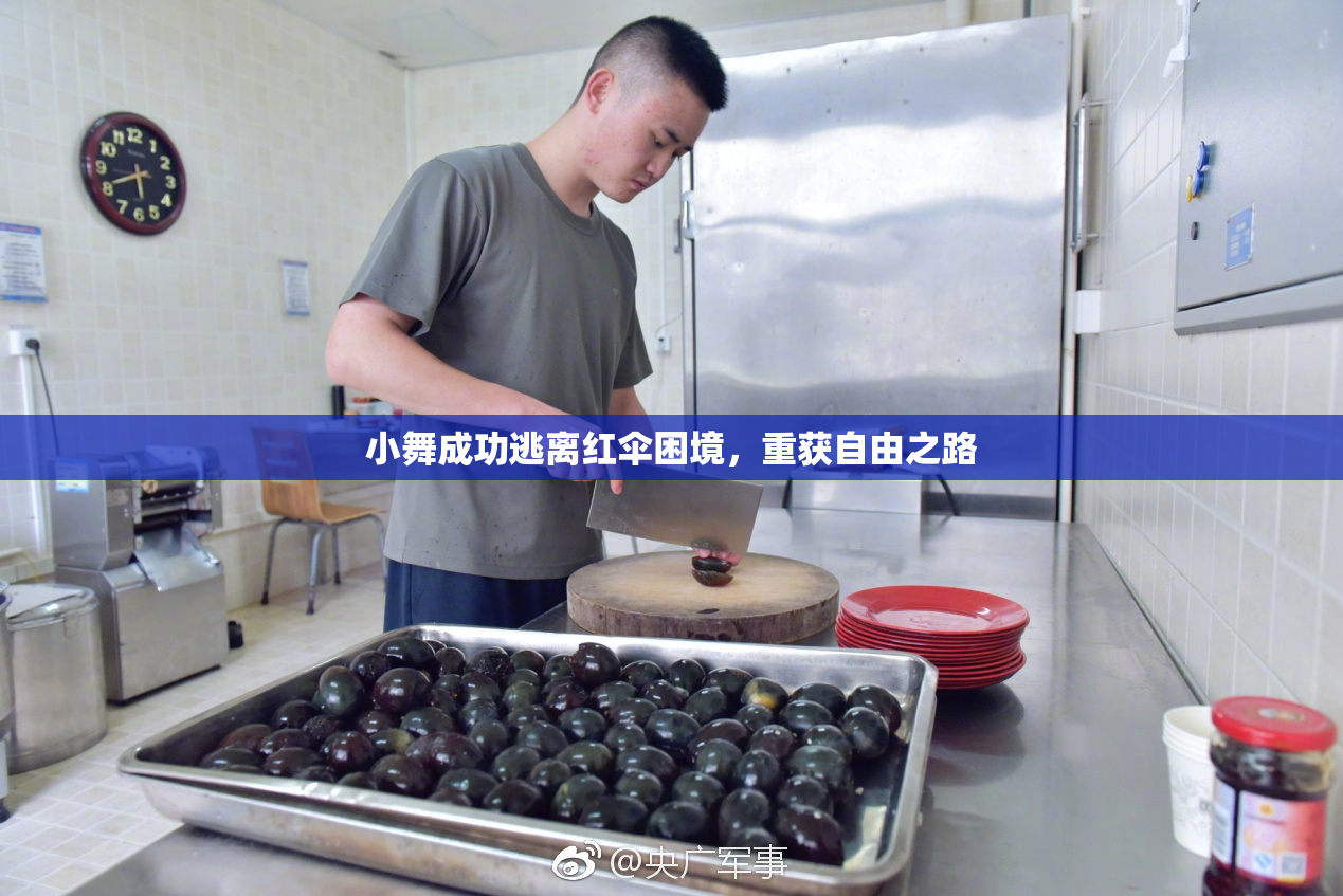 小舞成功逃离红伞困境，重获自由之路
