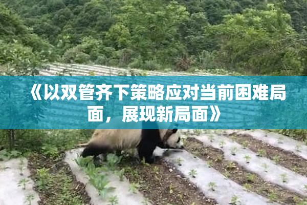 《以双管齐下策略应对当前困难局面，展现新局面》
