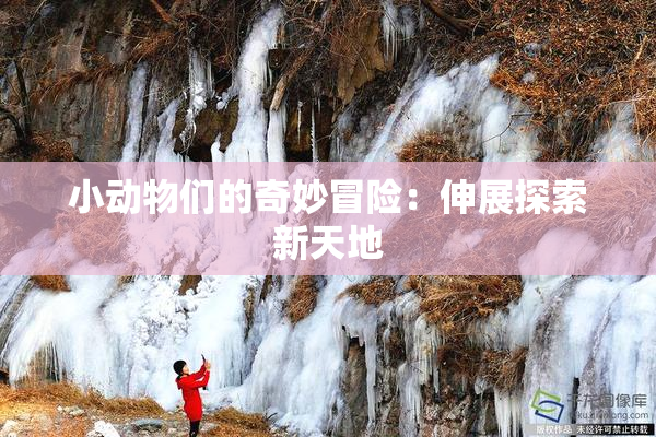 小动物们的奇妙冒险：伸展探索新天地