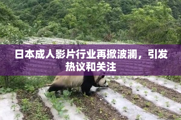 日本成人影片行业再掀波澜，引发热议和关注