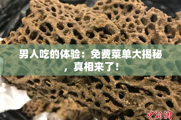 男人吃的体验：免费菜单大揭秘，真相来了！