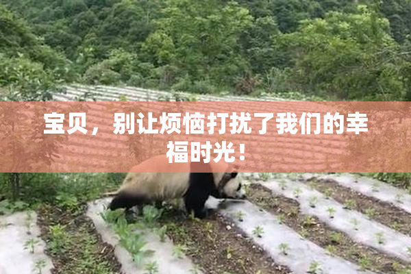 宝贝，别让烦恼打扰了我们的幸福时光！