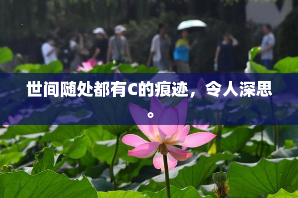 世间随处都有C的痕迹，令人深思。
