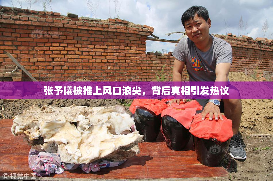 张予曦被推上风口浪尖，背后真相引发热议