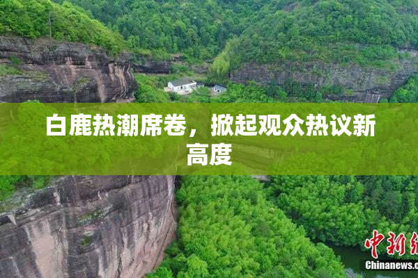 白鹿热潮席卷，掀起观众热议新高度