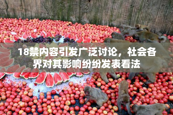 18禁内容引发广泛讨论，社会各界对其影响纷纷发表看法