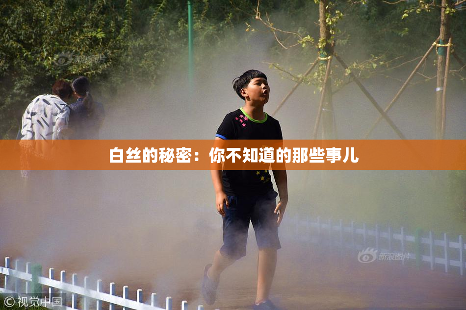 白丝的秘密：你不知道的那些事儿