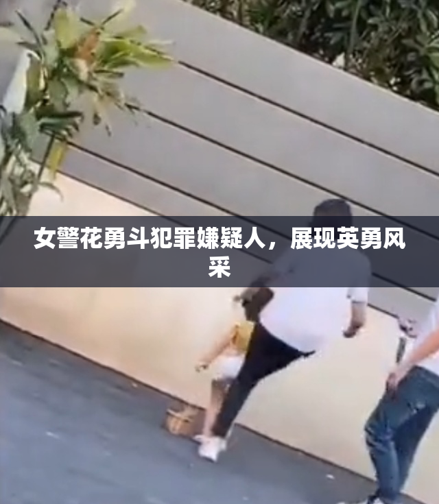 女警花勇斗犯罪嫌疑人，展现英勇风采