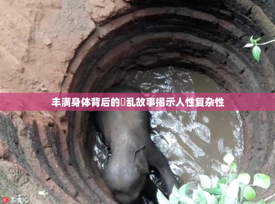丰满身体背后的婬乱故事揭示人性复杂性