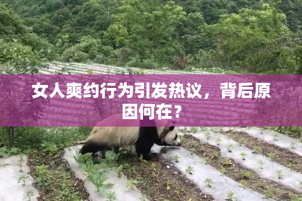 女人爽约行为引发热议，背后原因何在？