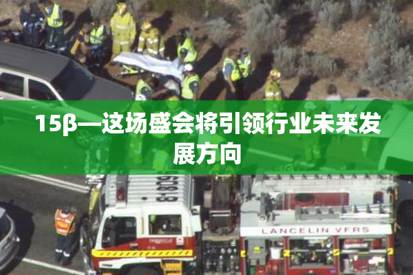 15β—这场盛会将引领行业未来发展方向