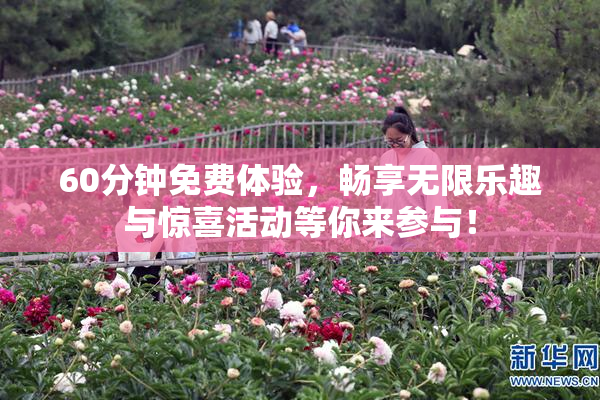 60分钟免费体验，畅享无限乐趣与惊喜活动等你来参与！