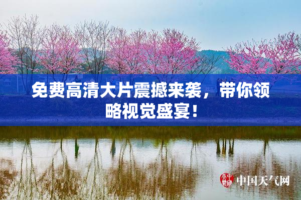免费高清大片震撼来袭，带你领略视觉盛宴！
