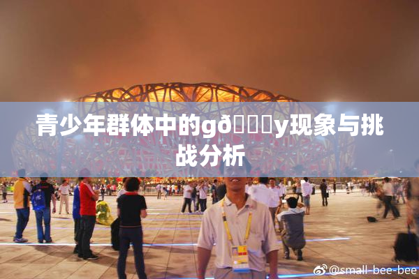 青少年群体中的g🈚y现象与挑战分析