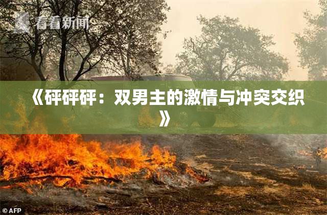 《砰砰砰：双男主的激情与冲突交织》