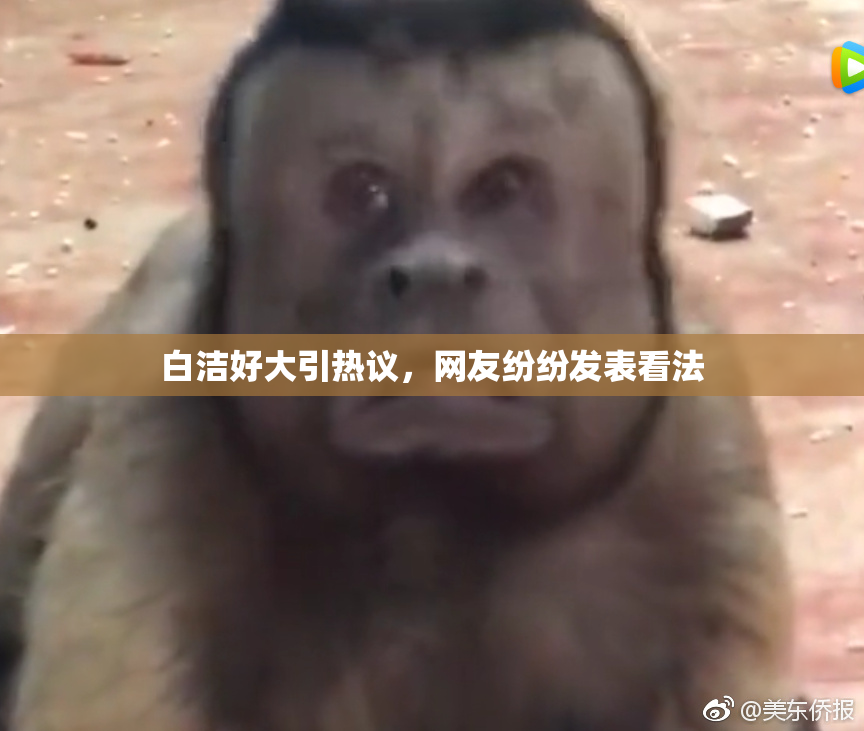 白洁好大引热议，网友纷纷发表看法