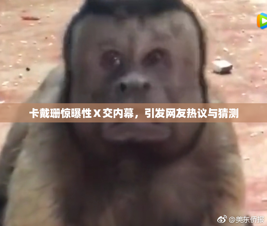 卡戴珊惊曝性Ⅹ交内幕，引发网友热议与猜测