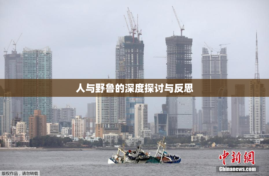 人与野鲁的深度探讨与反思
