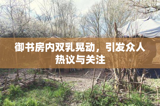 御书房内双乳晃动，引发众人热议与关注