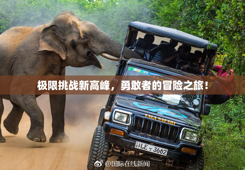 极限挑战新高峰，勇敢者的冒险之旅！