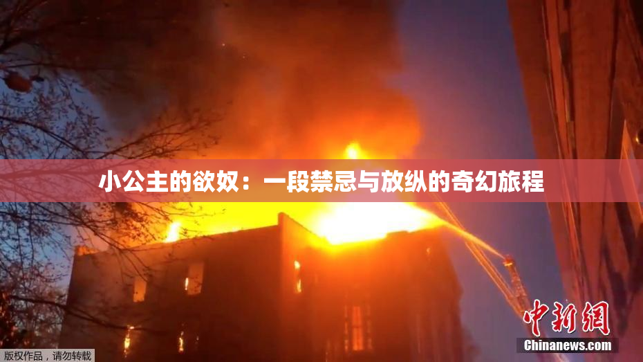 小公主的欲奴：一段禁忌与放纵的奇幻旅程