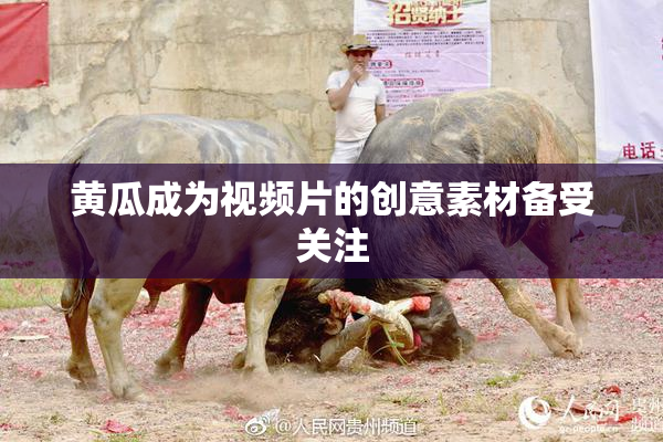 黄瓜成为视频片的创意素材备受关注