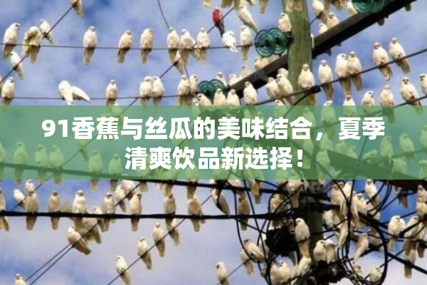 91香蕉与丝瓜的美味结合，夏季清爽饮品新选择！
