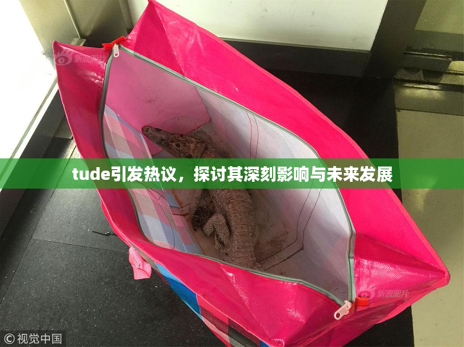 tude引发热议，探讨其深刻影响与未来发展
