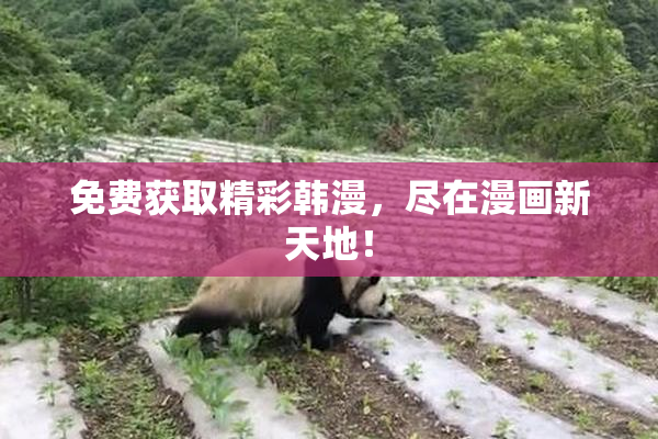 免费获取精彩韩漫，尽在漫画新天地！