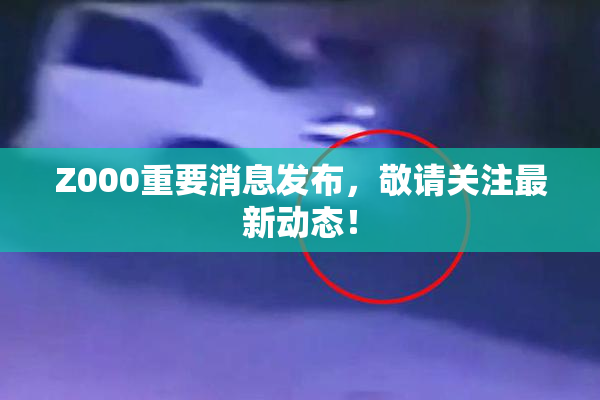 Z000重要消息发布，敬请关注最新动态！