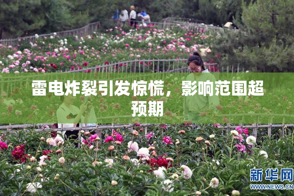 雷电炸裂引发惊慌，影响范围超预期