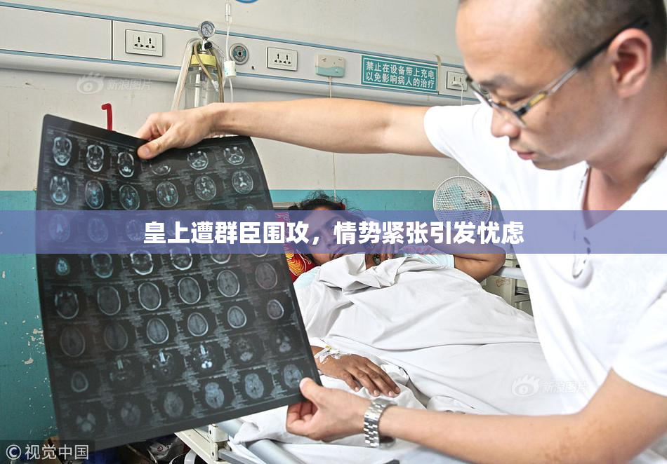 皇上遭群臣围攻，情势紧张引发忧虑