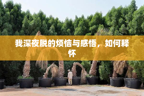 我深夜脱的烦恼与感悟，如何释怀