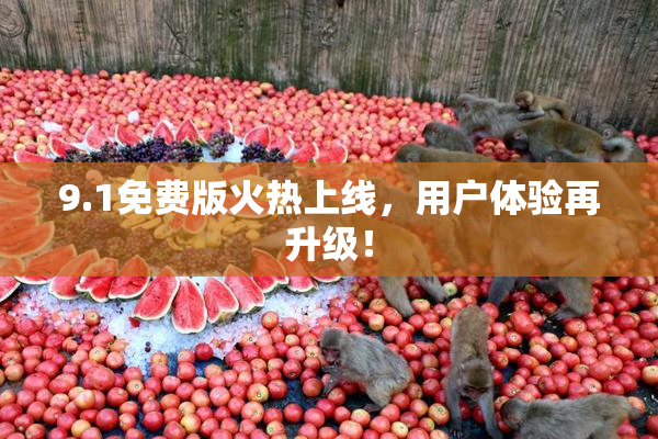 9.1免费版火热上线，用户体验再升级！