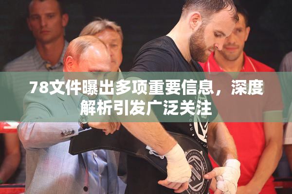 78文件曝出多项重要信息，深度解析引发广泛关注