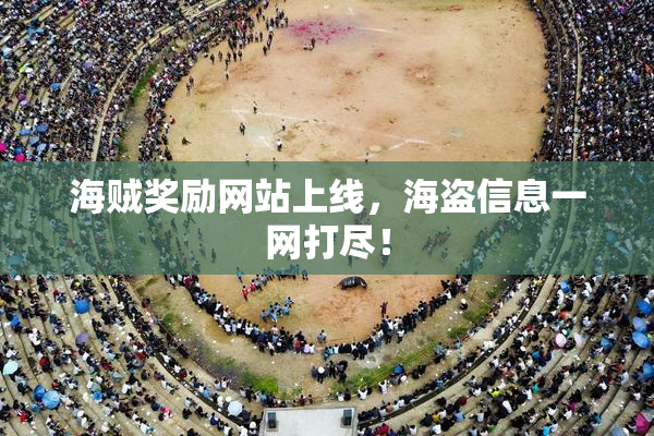 海贼奖励网站上线，海盗信息一网打尽！