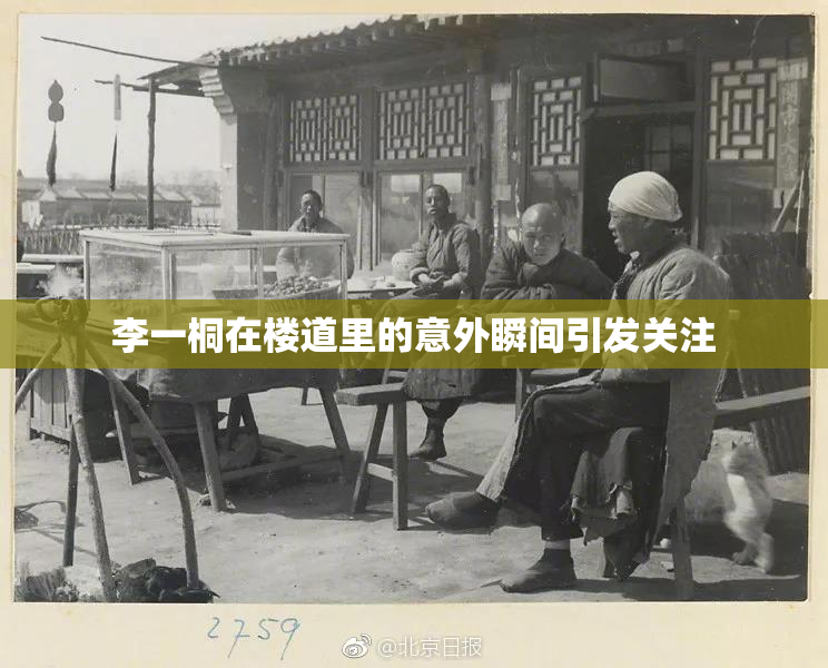李一桐在楼道里的意外瞬间引发关注