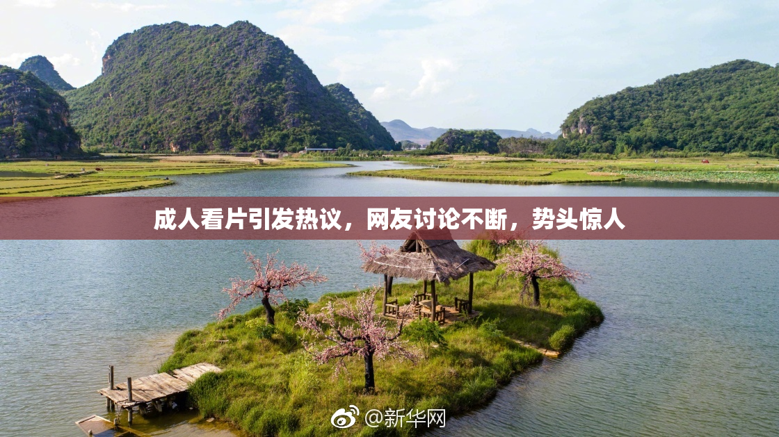 成人看片引发热议，网友讨论不断，势头惊人