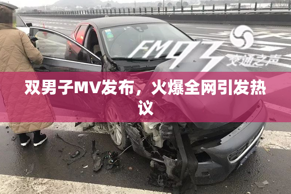 双男子MV发布，火爆全网引发热议
