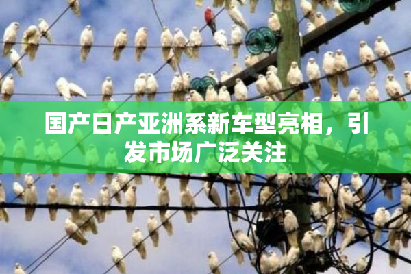 国产日产亚洲系新车型亮相，引发市场广泛关注