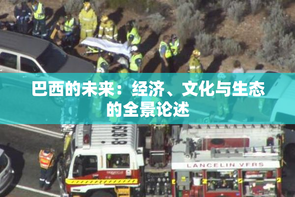 巴西的未来：经济、文化与生态的全景论述