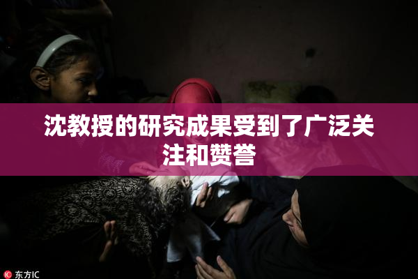 沈教授的研究成果受到了广泛关注和赞誉