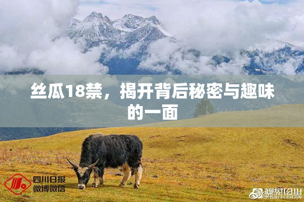 丝瓜18禁，揭开背后秘密与趣味的一面