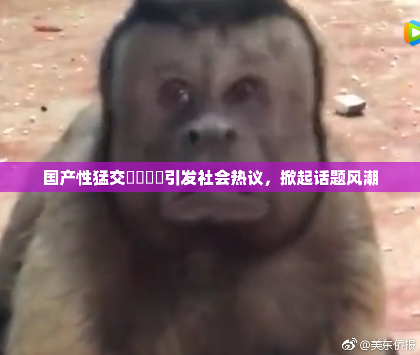 国产性猛交❌‌❌‌引发社会热议，掀起话题风潮